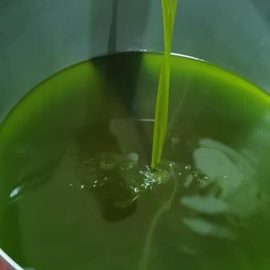 olio extravergine di oliva nuova produzione 2025 EVO Siciliano