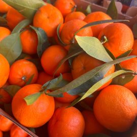 BOX CLEMENTINE MISTO ARANCE E LIMONI